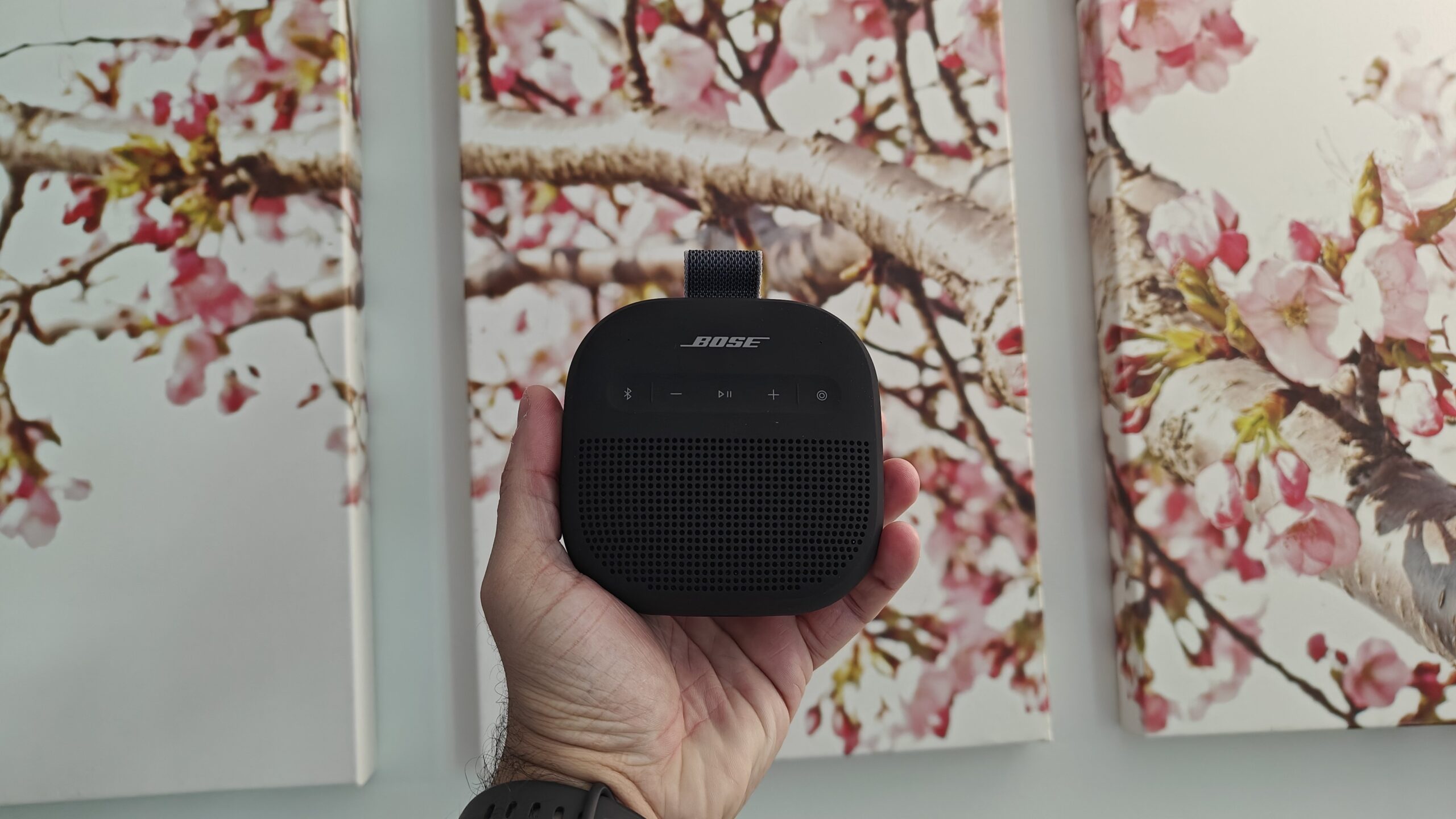 hand holding bose bluetooth speaker in front of cherry blossoms