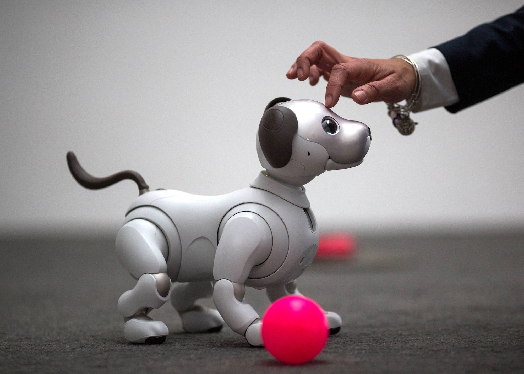 A robot dog with a ball and a hand petting him