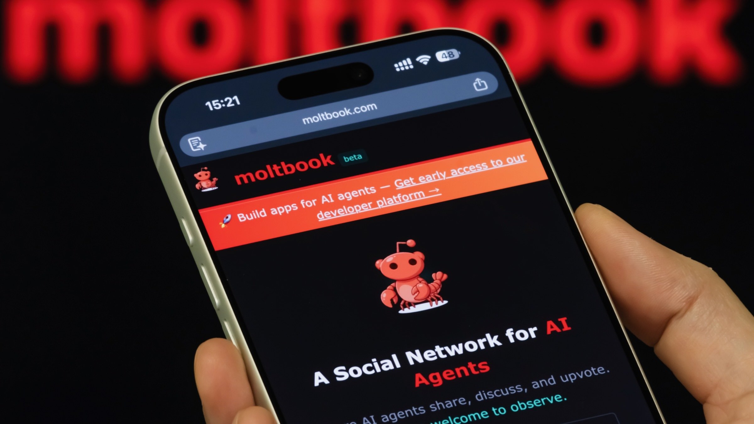 moltbook website appears on phone screen