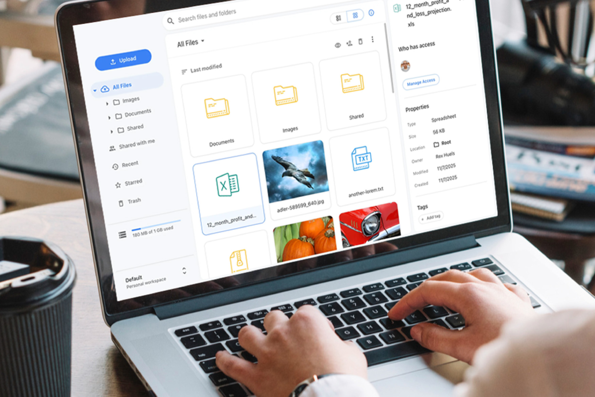 OnlineDrive Cloud Storage: Lifetime Subscription
