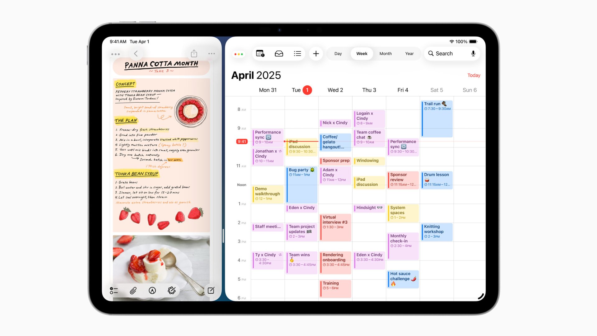 Apple iPad multitasking