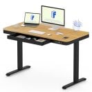 FLEXISPOT Comhar Electric Standing Desk with Drawer Desktop & Adjustable Frame w/USB Charge Ports (Bamboo Texture/Black, Wood)