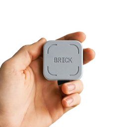 A hand holding a Brick