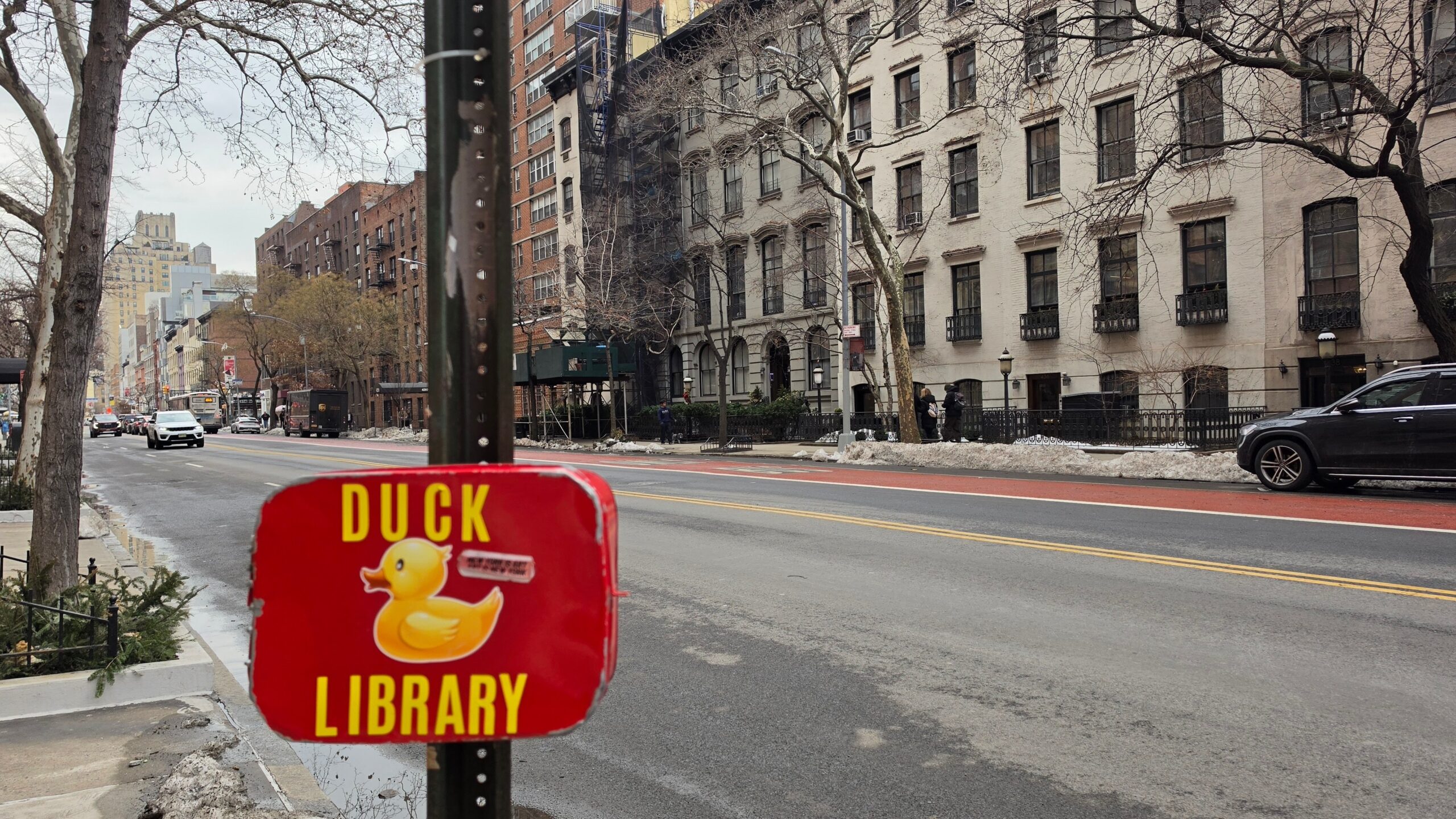 photo of new york city street with 'duck library'