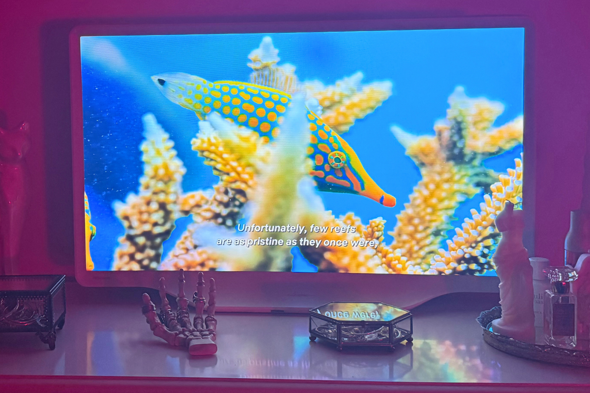 Hisense Déco TV sitting on dresser while playing a scene from "Our Planet"