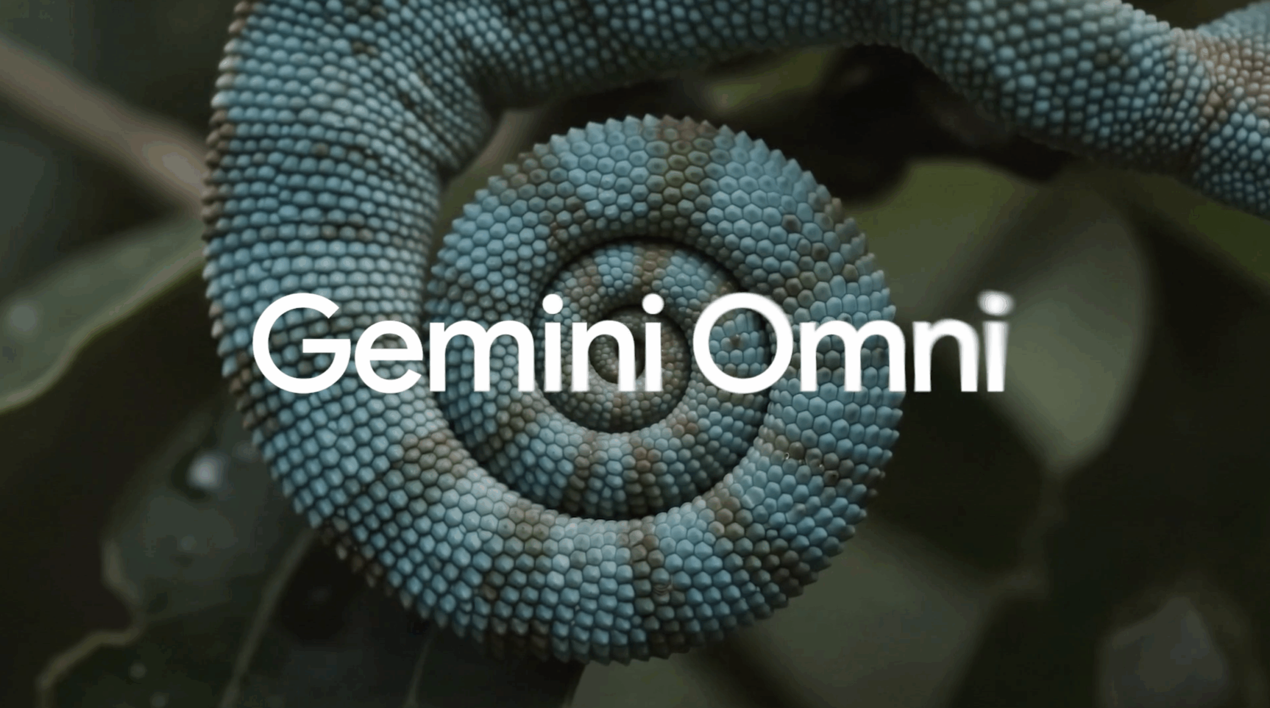 Gemini Omni