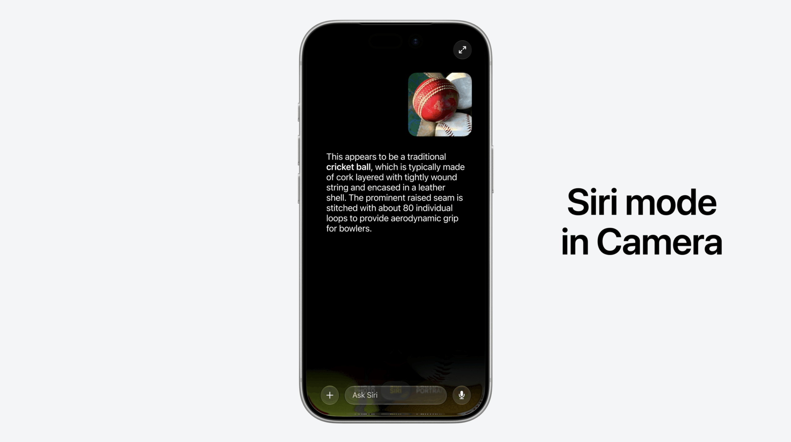 siri analyzing photo of cricket ball in camera app