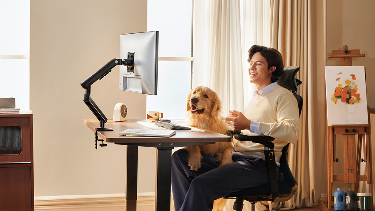 person and dog sitting at a desk facing computer monitor