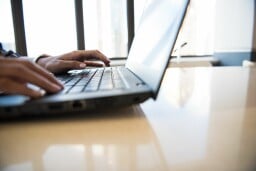 Microsoft Visual Studio Professional 2026 + The Premium Learn to Code Certification Bundle