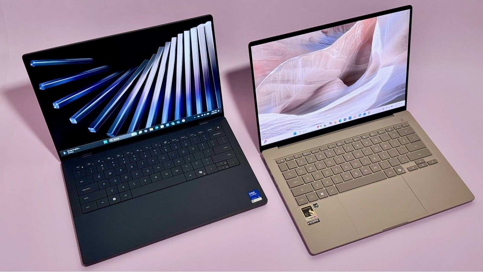 the dell xps 14 and the asus zenbook a14