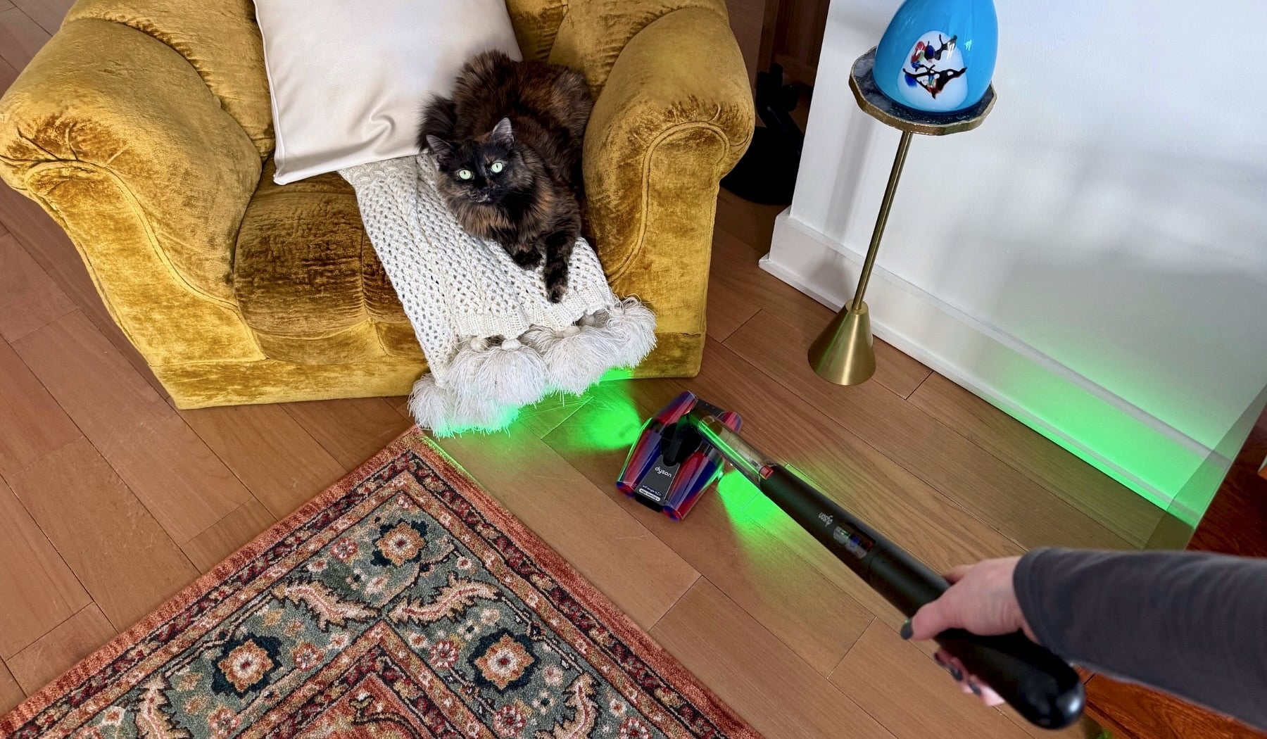 Dyson PencilVac vacuum cleaning living room while fluffy cat watches in concern
