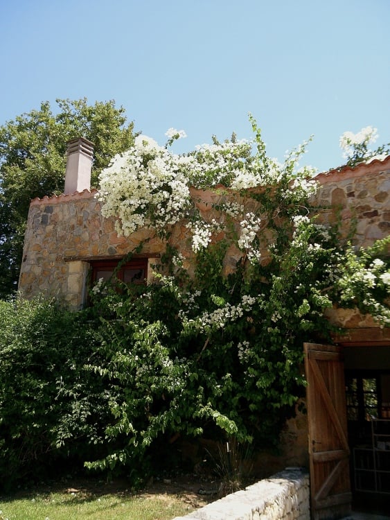 A winery in Greece