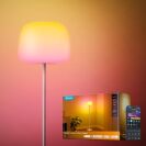 Govee Lantern Floor Lamp