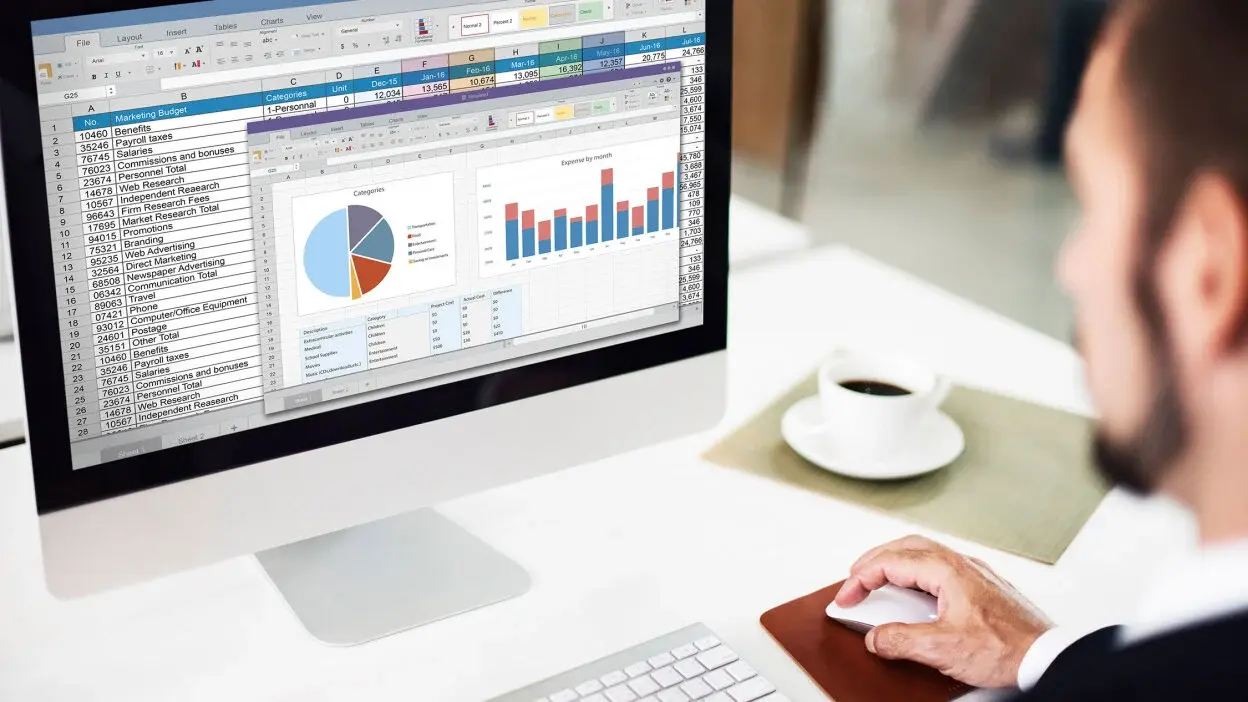 Microsoft Office 2024 Professional Plus for Windows: Lifetime License