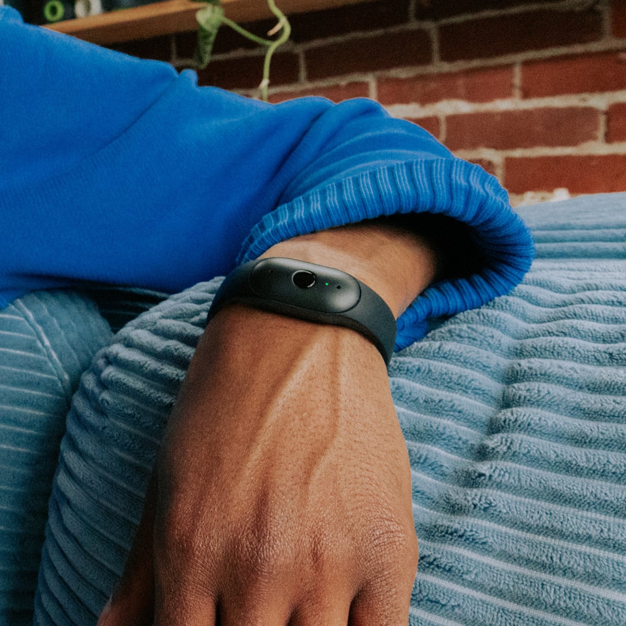Amazon's Bee Frontier on wrist