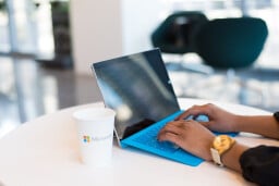 Microsoft Project Professional 2024: Lifetime License for Windows
