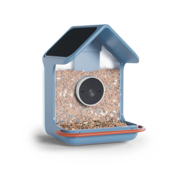 the birdbuddy home