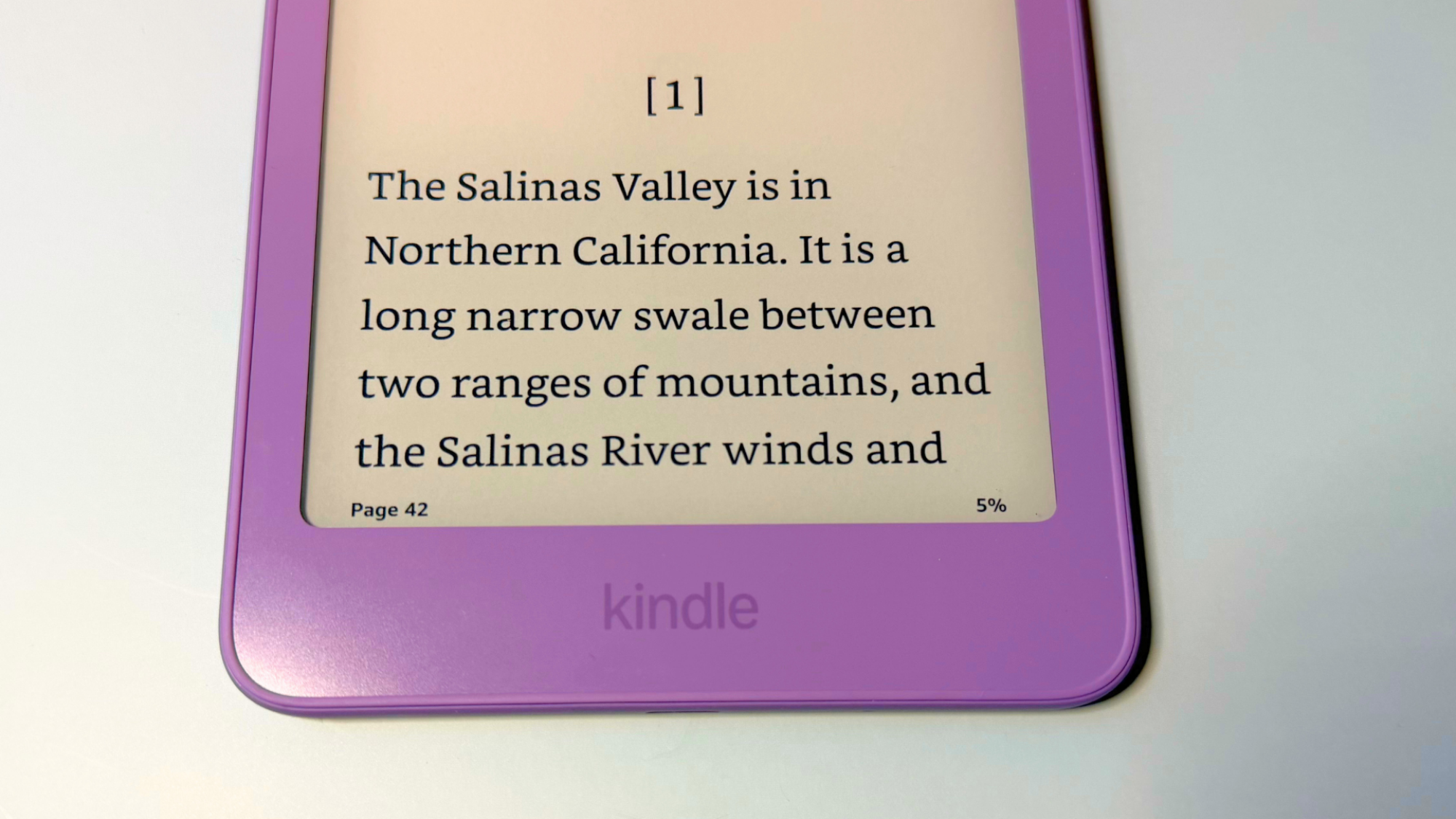 The Kindle progress bar on the bottom of the screen.